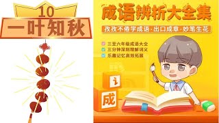 10 成语辨析：一叶知秋 II 中文学习|成语cheng yu|Learing Chinese Idioms|成語學习|中文基础知识