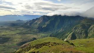 Neelakurinji # idukki# kallippara # status