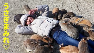 野生のうさぎ700羽！うさぎまみれの楽園が最高。