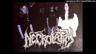 NECROLATRY (USA,OHIO) - ABSORPTION OF FLESH DECAYED (1993)