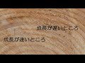 木や板の反りの要因となっている木材の異方性について―lifeなびチャンネル。