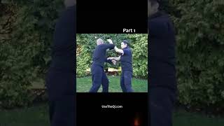 Wing Chun vs Mantis Kung Fu Techniques - Part 1 #shorts