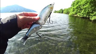 【琵琶湖バス釣り】コメントしてくれる視聴者さんと釣り行ったら...