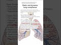 static and dynamic lung compliance