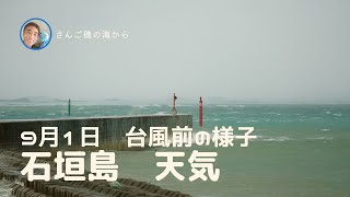 【石垣島天気】9月1日14時ごろ。台風前(11号)の石垣島の様子は？