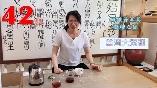 普洱茶｜專業研究 第42集:辨識普洱茶樹種之謎_大葉種