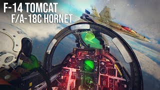 F-14 Tomcat Vs F-18 Hornet Dogfight | Digital Combat Simulator | DCS |