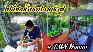 เปลี่ยนน้ำบ่อปลาคราฟ @TMN House #บ่อปลาคราฟ