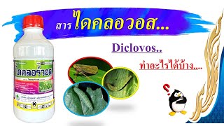 สารไดคลอวอส..(Diclovos) ดูดซึม กินตาย ถูกตัวตาย (หนอน เพลี้ย เสี้ยนดิน)