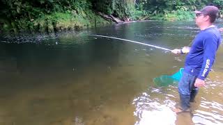 A melhor pescaria de lambari é no litoral do Parana, no Paraíso dos Lambaris