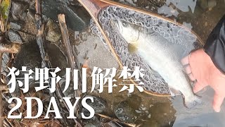 渓流ルアー【2021狩野川解禁2days】