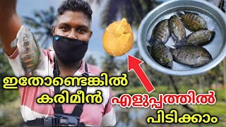 കരിമീനിനു ഇഷ്ടപെട്ട തീറ്റ ഉണ്ടാക്കിയാലോ || Karimeen Fishing video || Food N Vlogs