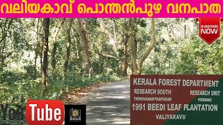 റാന്നി-വലിയകാവ്‌ -പൊന്തൻപുഴ വനപാത /Ranni-Valiyakavu-Pothenpuzha Forest