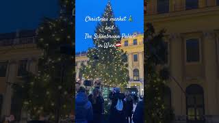 ウィーン🇦🇹シェーンブルン宮殿でのクリスマス🎄マーケット | Christmas market and The Schönbrunn Palace in Wien (Vienna)