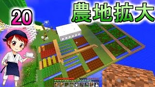 【マイクラ実況】和を食して Part20【赤髪のとも】