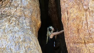 Deya Dova Recording In A 3000 Year Old Tree