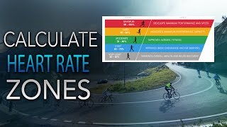 How to Calculate Your Heart Rate Training Zones