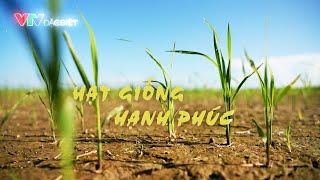 Hạt giống hạnh phúc | VTV Đặc biệt