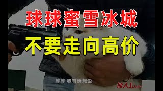 【半佛】只要蜜雪冰城不涨价，我们永远都是好朋友