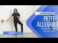 Petit Allegro: How to prepare students for fast jumps