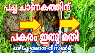 പച്ച ചാണകത്തിന് പകരം ഇതു മതി / Venda krishi / വെണ്ട കൃഷി / Ladies finger farming