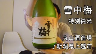 520【雪中梅 特別純米】日本酒レビュー＋Vlogめいたもの45