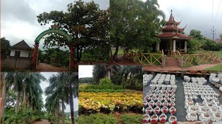 Chandana Mohana Rao Nursery Gardan (vizag) | CMR Nursery | Best Nursery In Visakhapatnam