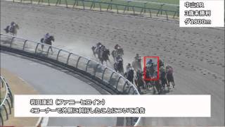 2016年2月27日中山競馬制裁事象