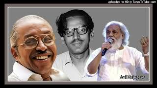 Puzhayil Mungi Thazhum Sandhya പുഴയില്‍ മുങ്ങിത്താഴും സന്ധ്യ...!!!(Anil Nelppura)