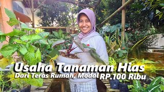 USAHA TANAMAN HIAS TERAS RUMAH PEMBAWA BERKAH, MODAL 100 RIBU RUPIAH