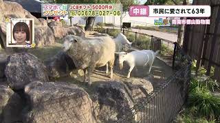 周南市ウィーク　徳山動物園から中継