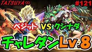 【パズドラ#121】ベジットVSクシナダ！油断したらやられるチャレダン８！