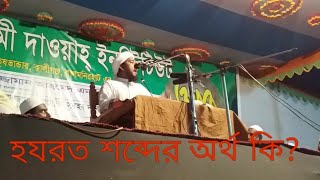 ওয়াজ-হযরত শব্দের অর্থ কি?মুফতি যুবায়ের আহমেদ।