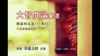 慈航淨院-大智度論卷85 – ( 133-241207_因菩薩道樹蔭 )