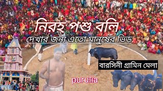 নিরহ পশু বলি !! এই মেলা দেখার জন্য হাজার হাজার মানুষের ভিড় হয় !! বারসিনী গ্রামিন মেলা  !!2025