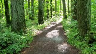 Graham Oaks Nature Park Wilsonville Oregon