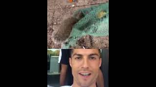 Ronaldo Reacts Feed Shorts #shorts #viral #short #shortvideo #ytshorts #cr7 #feed #feedshorts