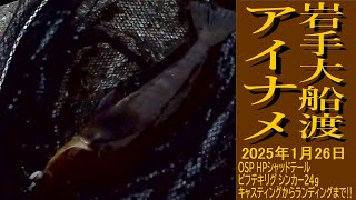 【アイナメ】岩手県_大船渡エリア漁港_キャスティングからランディングまで‼