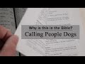 Calling People Dogs - Why is This in the Bible?