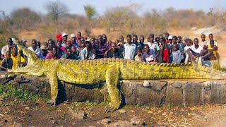 20 Largest Crocodiles Ever Recorded