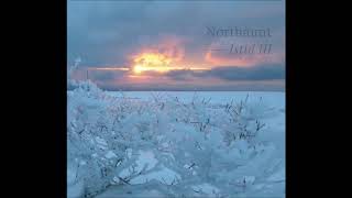 Northaunt - Istid III (Full Album)