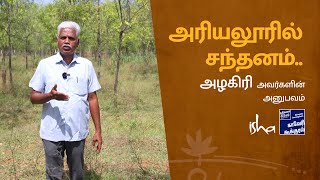 அரியலூரில் சந்தனம்..