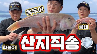 산지에는 좋은 생선이 많을까? (feat. 거래처)