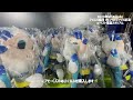 アビスパ福岡vsアルビレックス新潟⚽️｜初のルヴァンパーティー🥳｜にわかサポの1日🤟🏻