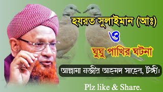 হযরত সুলাইমান (আঃ) ও একটি পাখির ঘটনা || নজীর আহমদ ওয়াজ ২০২৩ ||