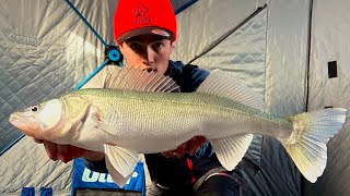 Ice Fishing River Walleyes - Manitoba Greenbacks