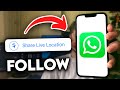 How to Follow Live Location on Whatsapp (2025)