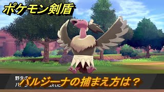 ポケモン剣盾　バルジーナの出現場所は？オススメの場所は？天気は？ポケモン図鑑コンプへの道！　最新版【ポケモンソード・シールド】