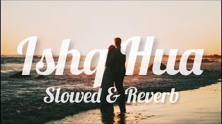 Ishq Hua ~ (Slowed & Reverb) | Lofi Vibes | Aaja Nachle | Sonu Nigam | Shreya Ghoshal