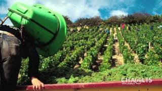 Regardez et écoutez Chablis au fil des saisons